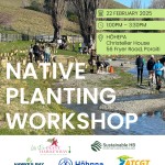 Native Planting Workshop