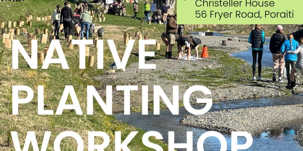 Native Planting Workshop