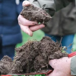 Brewing a Sustainable Future: The Story Behind Carlsberg's First Regenerative Beer