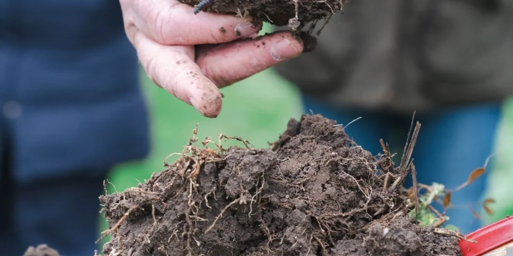 Brewing a Sustainable Future: The Story Behind Carlsberg's First Regenerative Beer