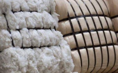 Future-proofing the New Zealand wool industry