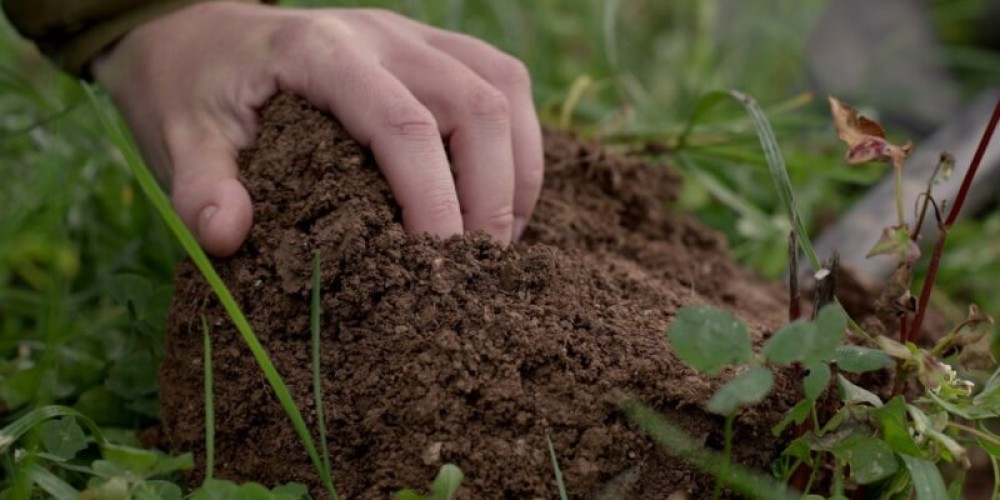 Soil health is about more than ground rules