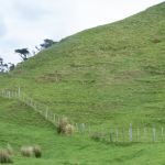 New Farm Cadet Training Facility to Open in Hawke's Bay