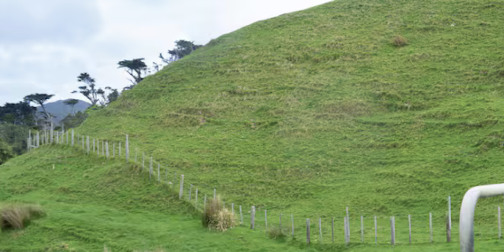 New Farm Cadet Training Facility to Open in Hawke's Bay