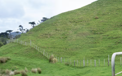 New Farm Cadet Training Facility to Open in Hawke's Bay