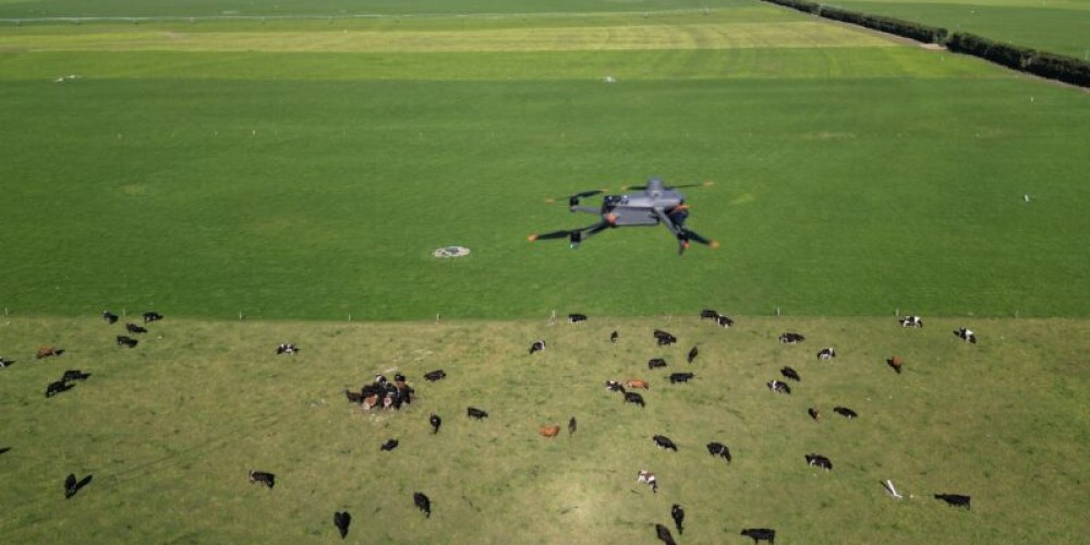 Drones now capable of counting stock