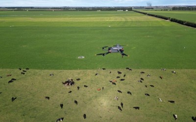 Drones now capable of counting stock