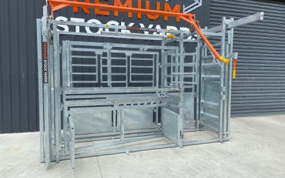 New Zealand Farmers Embrace Advanced Cattle Handling Equipment for Safer, More Efficient Operations