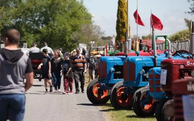 Top 7 Must-See Agricultural Shows & Events in New Zealand for 2025