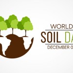 Reflecting on Regenerative Agriculture on World Soil Day