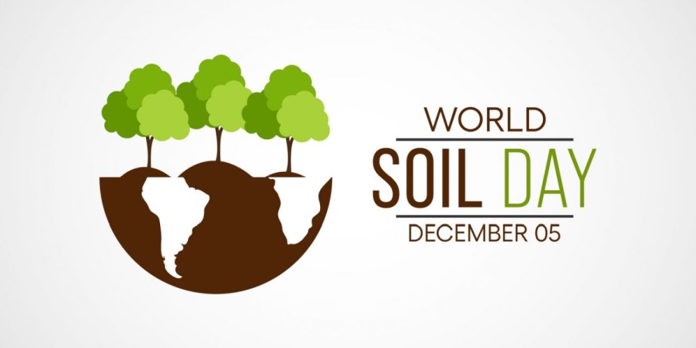 Reflecting on Regenerative Agriculture on World Soil Day