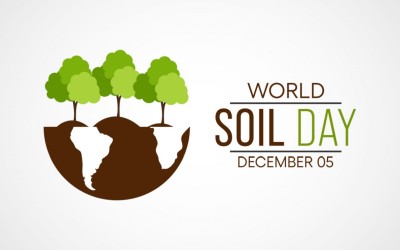 Reflecting on Regenerative Agriculture on World Soil Day